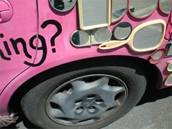 Anthing Goes - Greeting Cards Seana McNamara Moody Studio